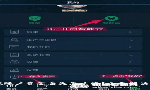 TPWallet账户资金丢失怎么办?全面解决方案解析