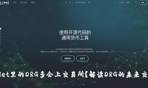 TPWallet里的DRG多会上交易所？解读DRG的未来交易动态