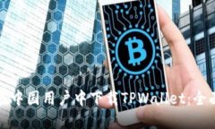 如何在中国用户中下载TPWallet：全面指南