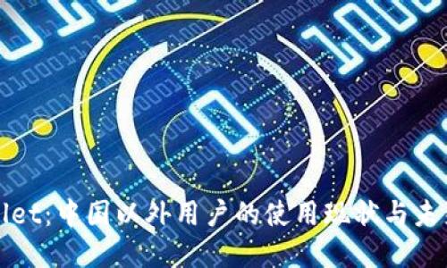 TPWallet:中国以外用户的使用现状与未来发展