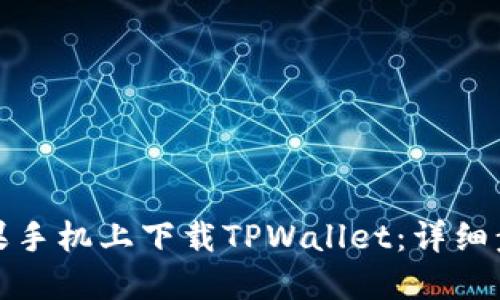 如何在苹果手机上下载TPWallet:详细步骤和技巧