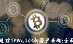 如何追踪TPWallet的资产去向：全面指南