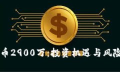 虚拟币2900万：投资机遇与风险分析