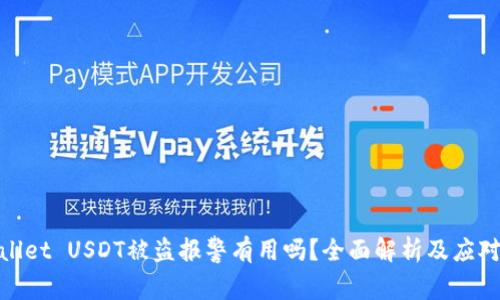 tpwallet USDT被盗报警有用吗?全面解析及应对策略