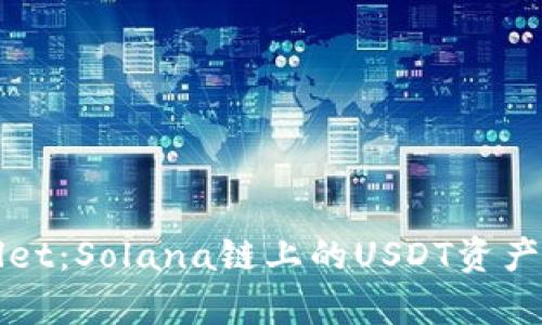 TPWallet:Solana链上的USDT资产全解析