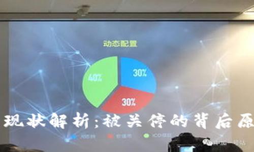虚拟币交易所现状解析:被关停的背后原因与未来展望