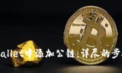 : 如何在TPWallet中添加公链：详尽的步骤与实用指