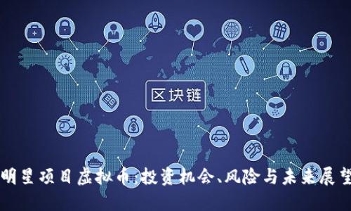 明星项目虚拟币:投资机会、风险与未来展望