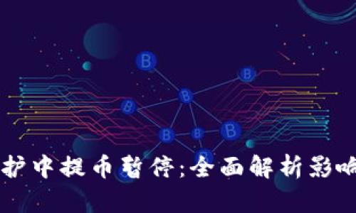 TPWallet维护中提币暂停:全面解析影响与解决方案