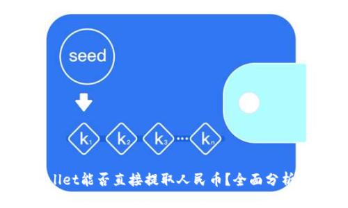 TP Wallet能否直接提取人民币?全面分析与解答