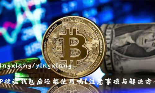 yingxiang/yingxiang
TP被盗钱包后还能使用吗?注意事项与解决方案