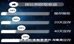 虚拟币悲剧：当投资梦化为泡影