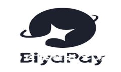 虚拟币合作：推动区块链技术与商业融合的未来