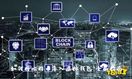 如何将比特币导入虚拟钱包:全面指南