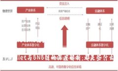 tpwalletbnb链是哪个TPWallet与BNB链的深度解析：都是