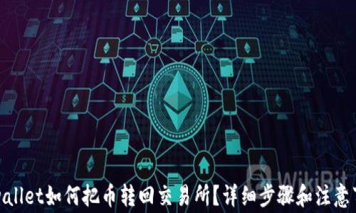 tpwallet如何把币转回交易所?详细步骤和注意事项