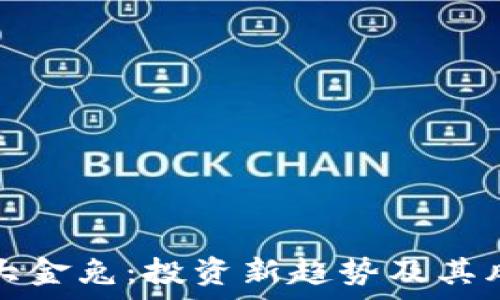虚拟币大金兔:投资新趋势及其风险分析
