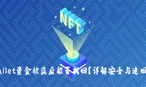 TPWallet资金被盗后能否找回?详解安全与追回措施