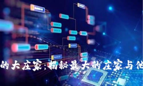 虚拟币市场中的大庄家:揭秘最大的庄家与他们的操控手段
