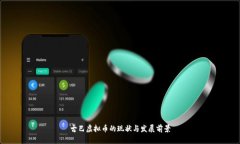 古巴虚拟币的现状与发展前景