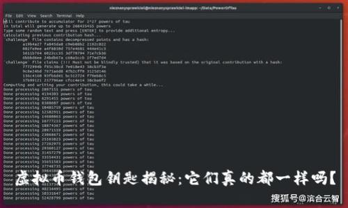 虚拟币钱包钥匙揭秘:它们真的都一样吗?