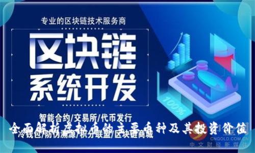 全面解析虚拟币的主要币种及其投资价值