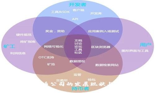 厦门虚拟币公司的发展现状与未来趋势