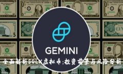 全面解析SOLX虚拟币：投资前景与风险分析