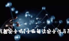 虚拟币钱包安全吗？全面解读安全性与防护措施