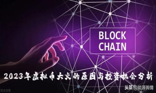 2023年虚拟币大火的原因与投资机会分析