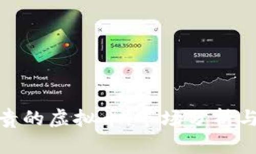 世界上最贵的虚拟币:市场分析与投资机会