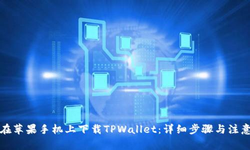 如何在苹果手机上下载TPWallet:详细步骤与注意事项