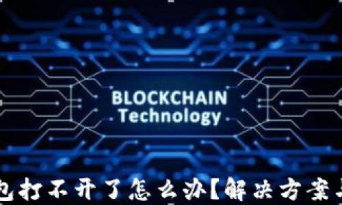 虚拟币钱包打不开了怎么办?解决方案与详细指南