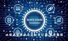 比特币实体币与虚拟币公司：深度解析