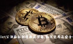 TPWallet公钥和私钥转换器详解：如何使用及安全性