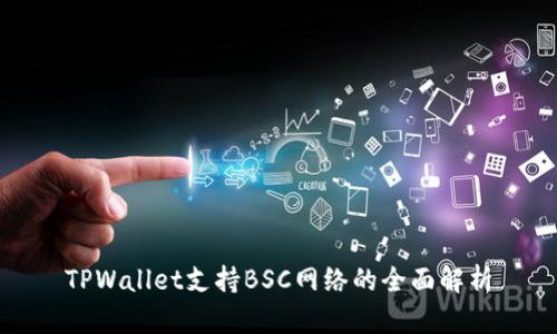 TPWallet支持BSC网络的全面解析