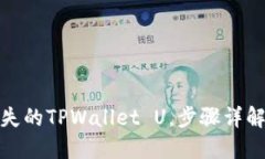 如何找回丢失的TPWallet U，步骤详解与实用建议