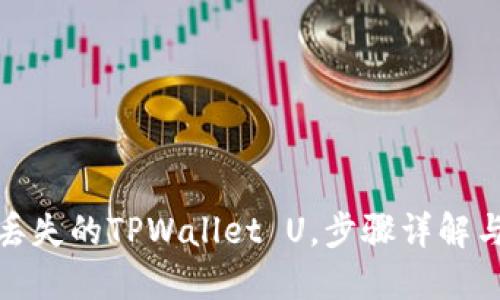 如何找回丢失的TPWallet U,步骤详解与实用建议