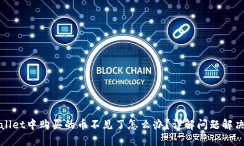 TPWallet中购买的币不见了怎么办？详解问题解决方案