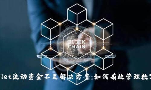 tpwallet流动资金不足解决方案:如何有效管理数字资产