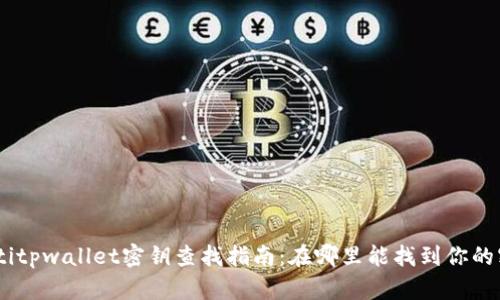 ibaotitpwallet密钥查找指南:在哪里能找到你的密钥?