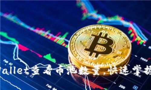 如何使用TPWallet查看币池数量,快速掌握您的资产状况
