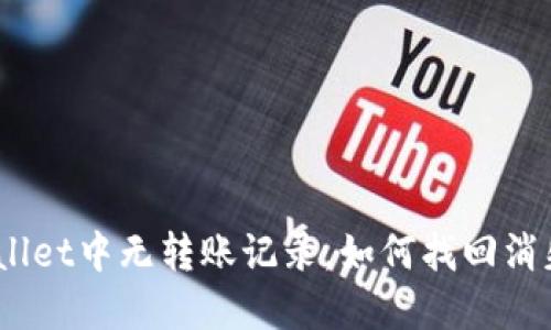 : tpwallet中无转账记录,如何找回消失的币?
