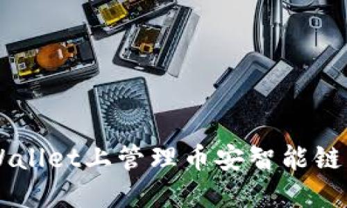 如何在TPWallet上管理币安智能链的BNB资产