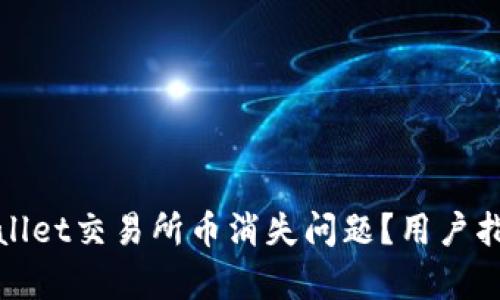 如何解决tpwallet交易所币消失问题？用户指导与解决方案